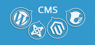 CMS Development